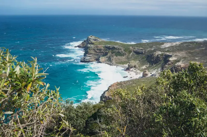 Cape Peninsula Scenic Experience