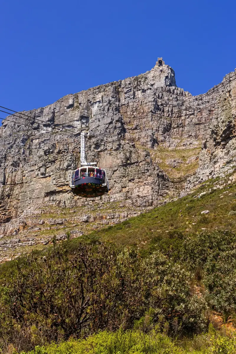 Table Mountain & Gardens Tour